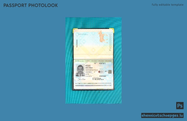 Finnischer Reisepass 2012–2017: Beispielansicht des Passfotos